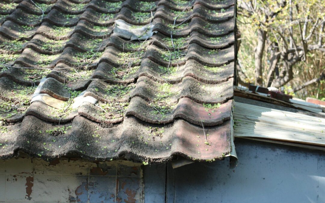 nettoyage de toiture dans les Yvelines (78)