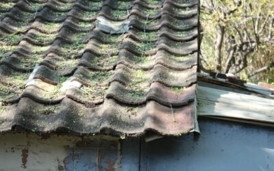 Pourquoi réaliser un nettoyage de toiture dans les Yvelines (78) ?