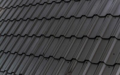 Voici un article SEO d’environ 900 mots, optimisé pour le référencement.