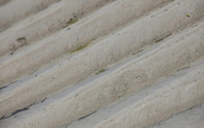Voici un article SEO optimisé d’environ 900 mots, structuré pour favoriser un bon référencement naturel.