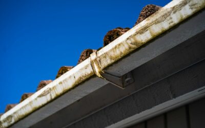 Quels sont les avantages d’un nettoyage de toiture dans les Yvelines (78) ?