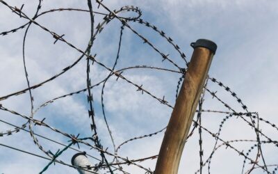 Combien coûte une Réparation de grillage dans les Yvelines (78) ?¨